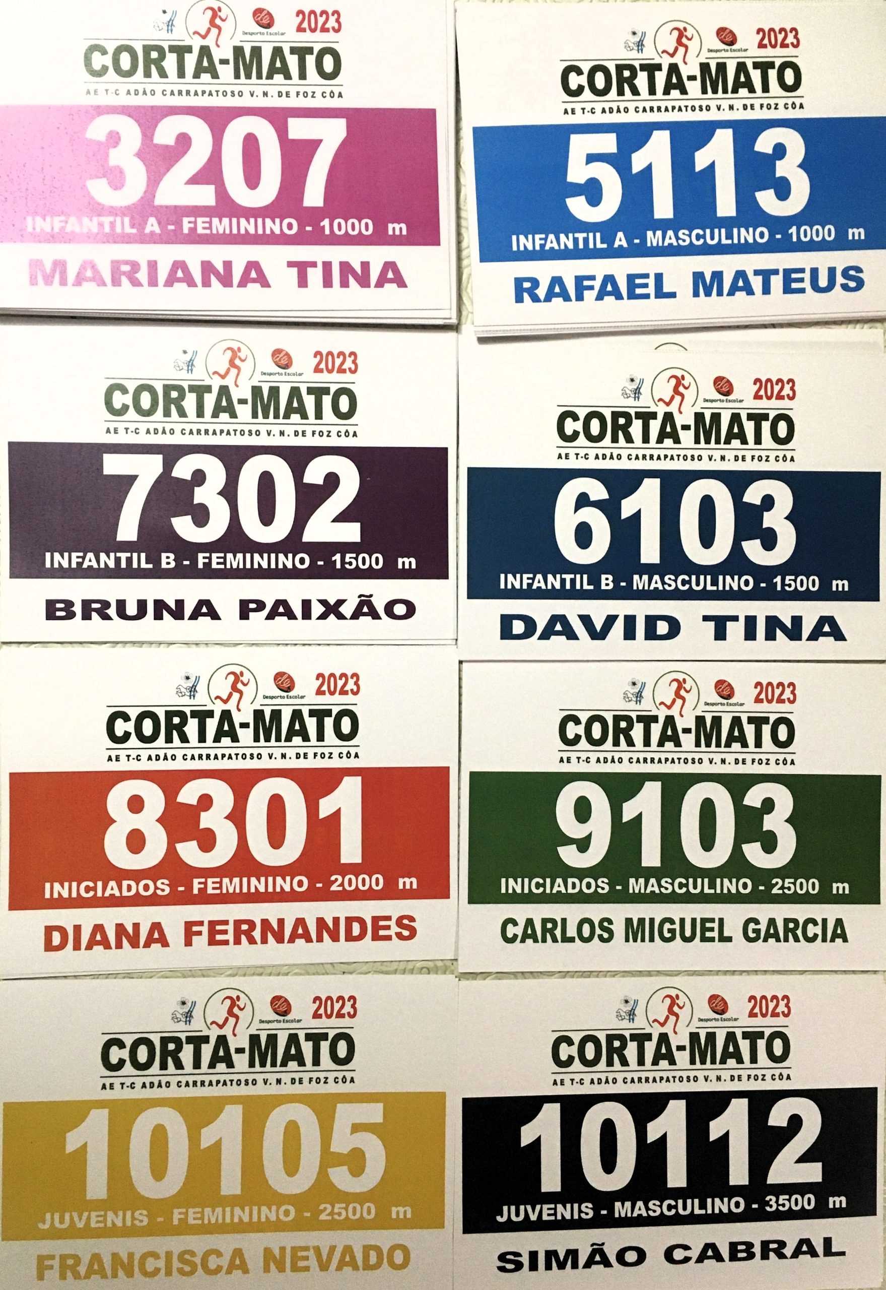 Magusto e Corta-Mato Escolar: Com o desporto a reviver as tradições.