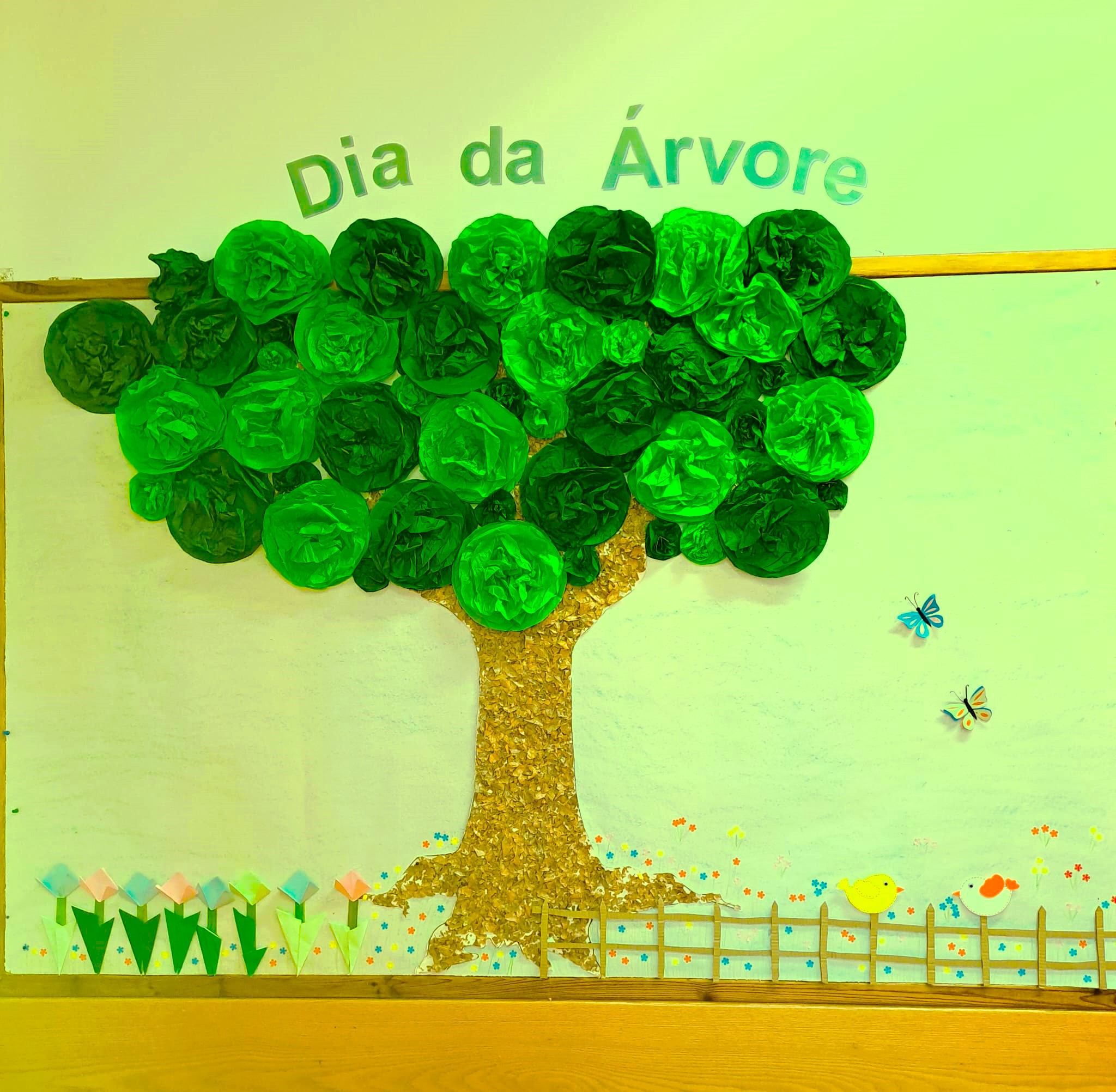 Dia da Árvore – Centro Escolar de Freixo de Numão