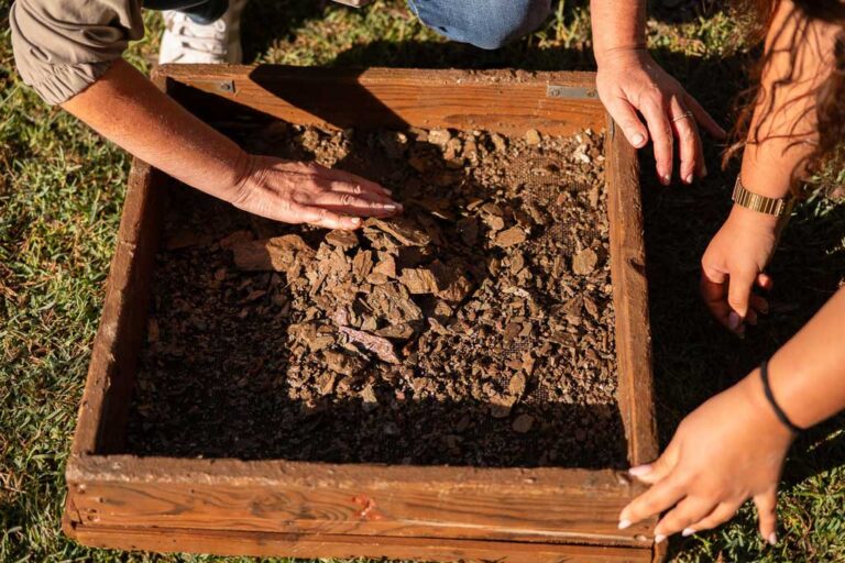 Mãos a peneirar terra num crivo de madeira.