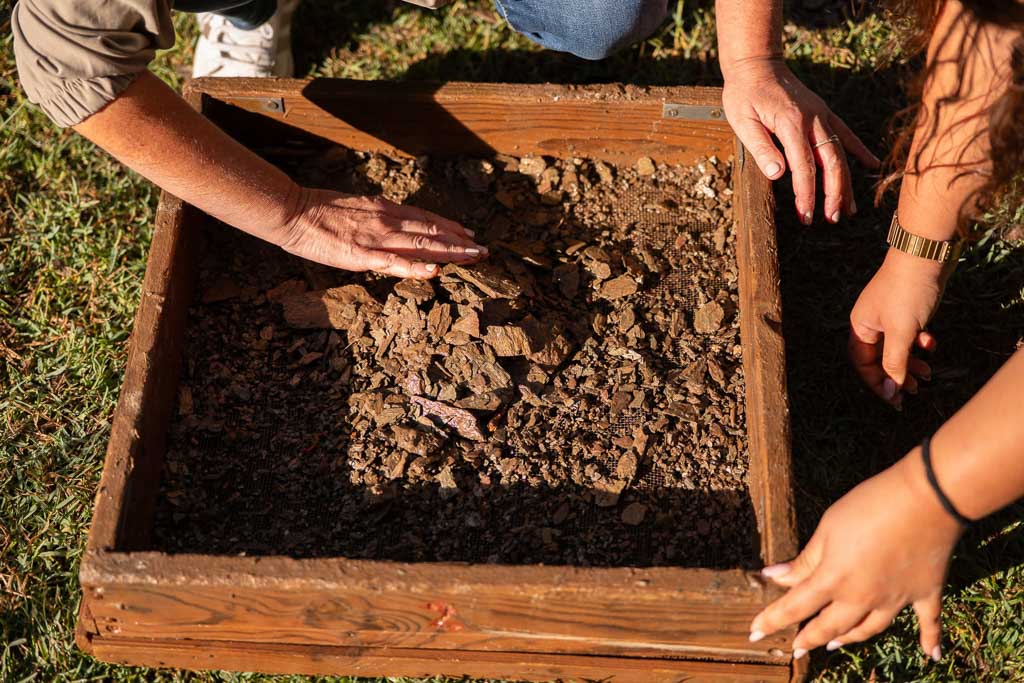 Mãos a peneirar terra num crivo de madeira.